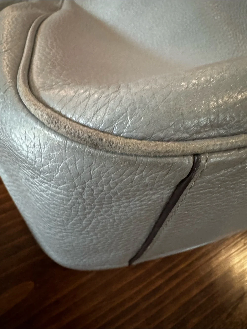 Coach Hobo Beauty!